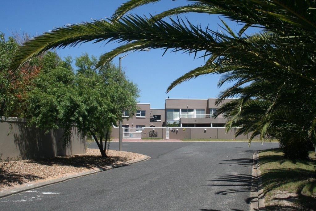 Colors Of Cape Town Lodge מראה חיצוני תמונה